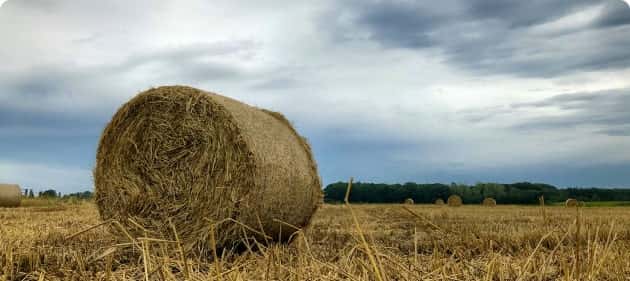 实时数据驱动，精准分析赛事走向 - 世界杯入口