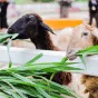 搜索 - 世界杯入口