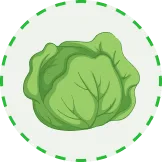 汇聚全球足球激情 - 世界杯入口