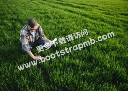 探索足球的魅力 - 世界杯入口