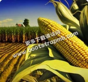 權威資訊，全面解讀 - 世界杯入口